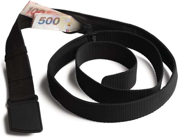 Travel wallet belt